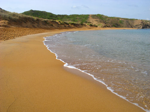 cavalleria
